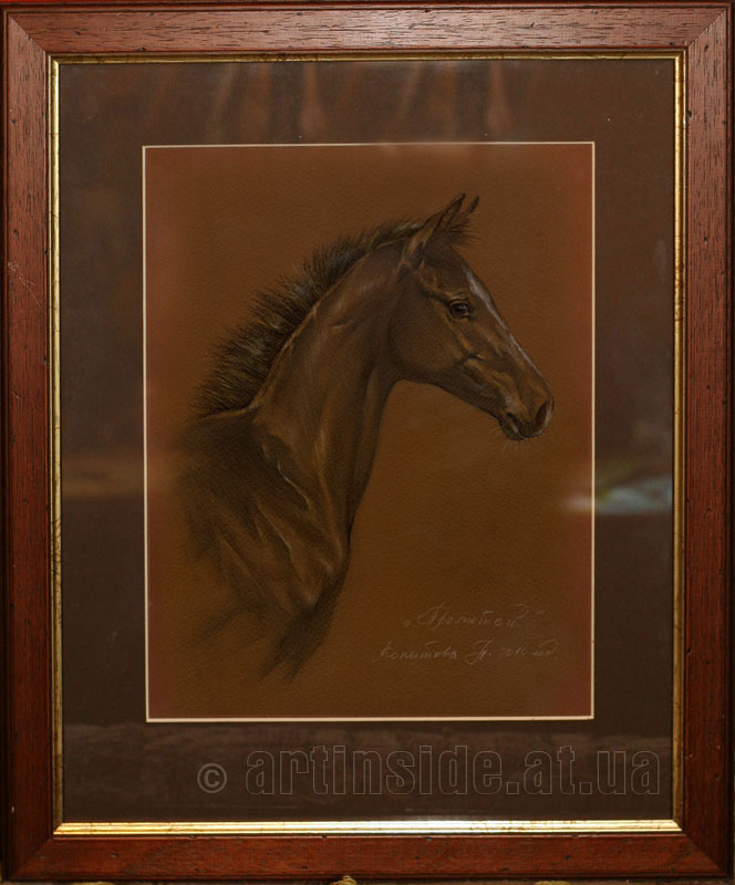 Портрет лошади "Прометей" в раме
