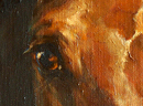Портрет лошади на заказ