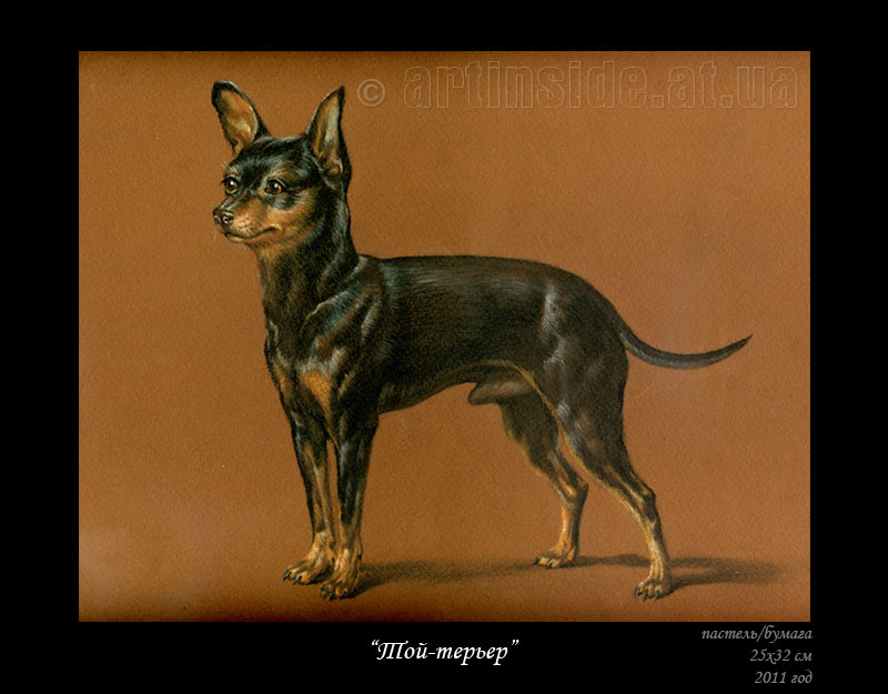Картина на заказ с собакой "Той-терьер"