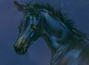Картина с лошадью "Гудвин" (продаётся)